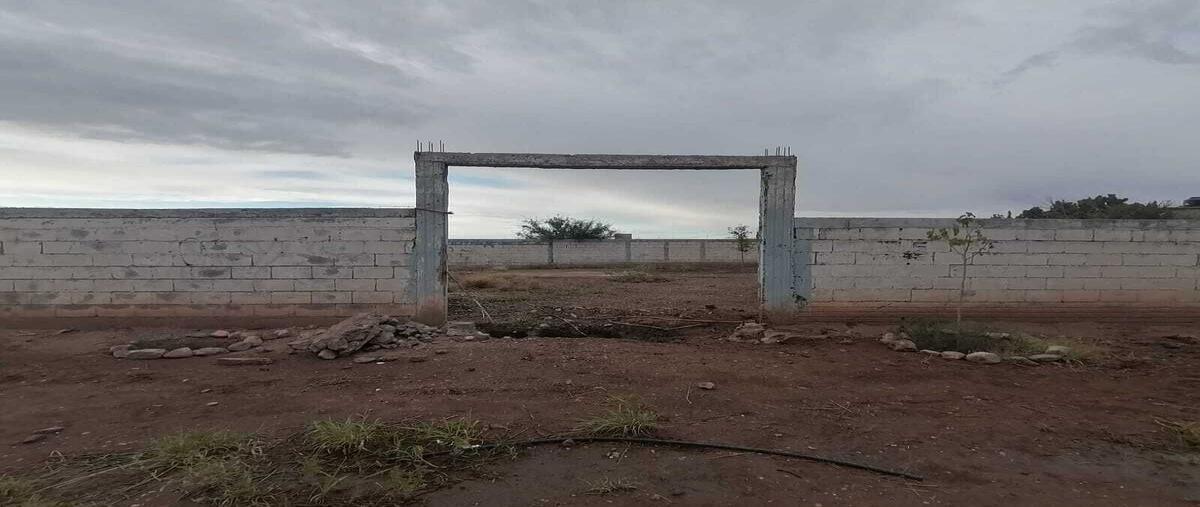 Foto de terreno habitacional en venta en lombardo toledano , sierra azul, chihuahua, chihuahua, 28526261 No. 05