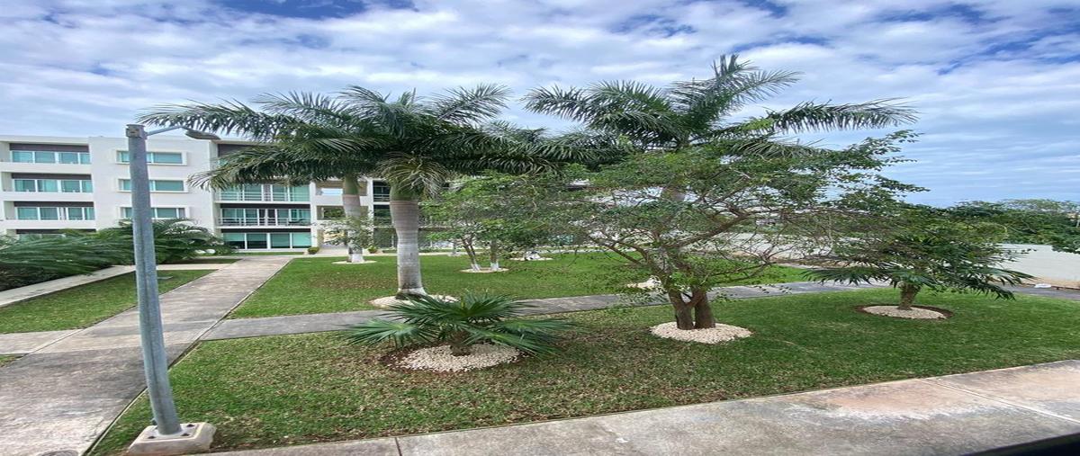 Foto de departamento en , long island, benito juárez, quintana roo, 0 foto 04 Foto de departamento en renta en , long island, benito juárez, quintana roo, 0 No. 04