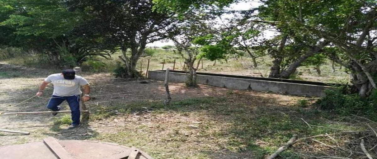 Foto de rancho en lopez arias 0, fernando lópez arias, jesús carranza, veracruz de ignacio de la llave, 0 foto 03 Foto de rancho en venta en lopez arias 0, fernando lópez arias, jesús carranza, veracruz de ignacio de la llave, 0 No. 03