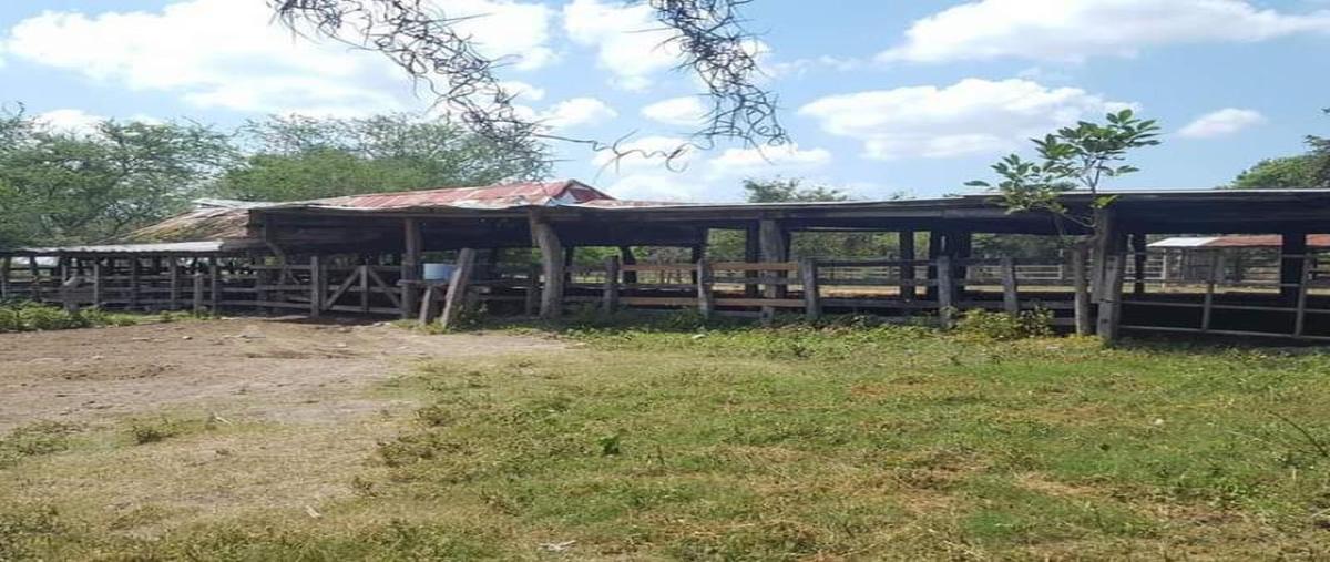 Foto de rancho en lopez arias 0, fernando lópez arias, jesús carranza, veracruz de ignacio de la llave, 0 foto 05 Foto de rancho en venta en lopez arias 0, fernando lópez arias, jesús carranza, veracruz de ignacio de la llave, 0 No. 05