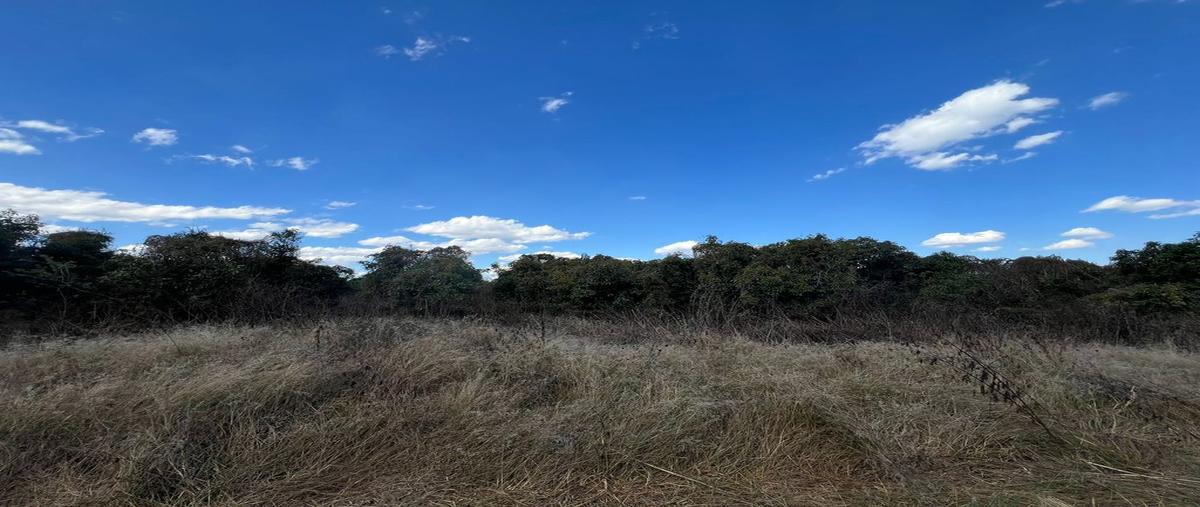 Foto de terreno habitacional en venta en lopez cotilla , antonio escobedo, san juanito de escobedo, jalisco, 0 No. 03