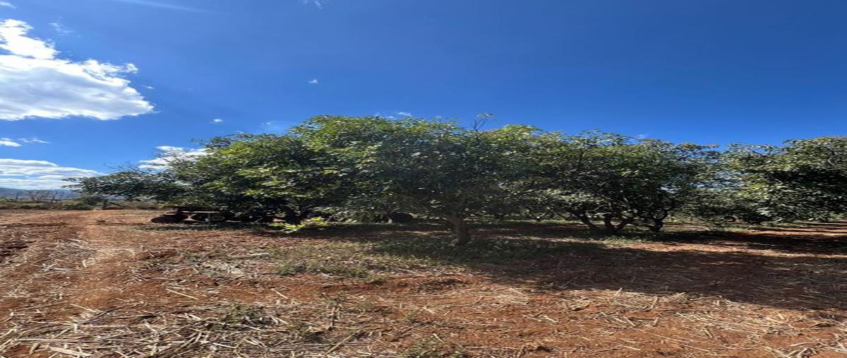 Foto de terreno habitacional en venta en lopez cotilla , antonio escobedo, san juanito de escobedo, jalisco, 0 No. 04