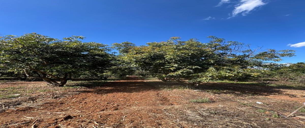 Foto de terreno habitacional en venta en lopez cotilla , antonio escobedo, san juanito de escobedo, jalisco, 0 No. 05
