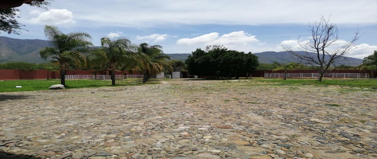 Foto de rancho en venta en lópez cotilla , los cedros, ixtlahuacán de los membrillos, jalisco, 0 No. 03