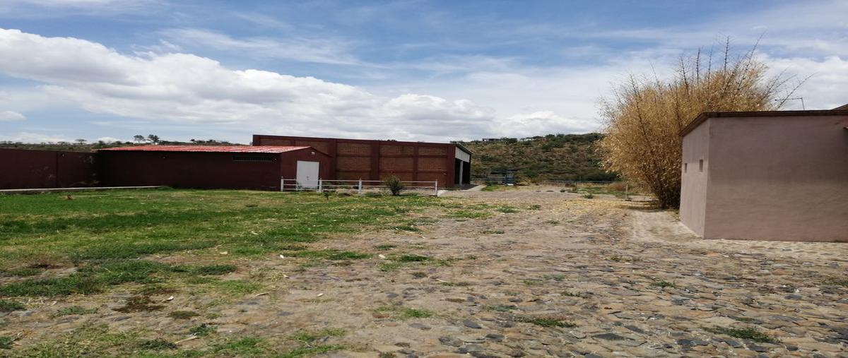 Foto de rancho en venta en lópez cotilla , los cedros, ixtlahuacán de los membrillos, jalisco, 0 No. 04