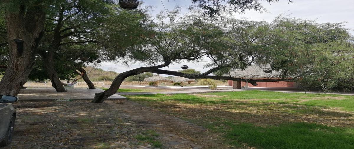 Foto de rancho en venta en lópez cotilla , los cedros, ixtlahuacán de los membrillos, jalisco, 0 No. 05
