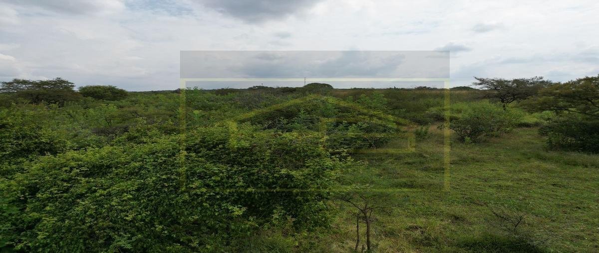 Foto de rancho en venta en lopez mateos , el refugio (paredones), acatic, jalisco, 25720818 No. 04