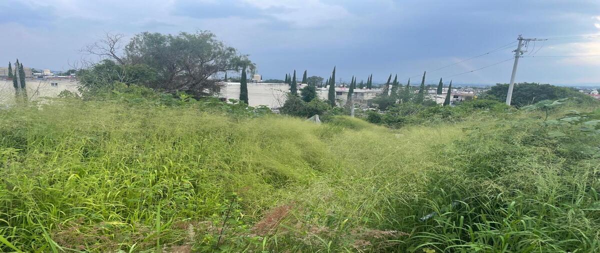 Foto de terreno habitacional en venta en lorenzo días días , educadores jaliscienses, tonalá, jalisco, 30530500 No. 03