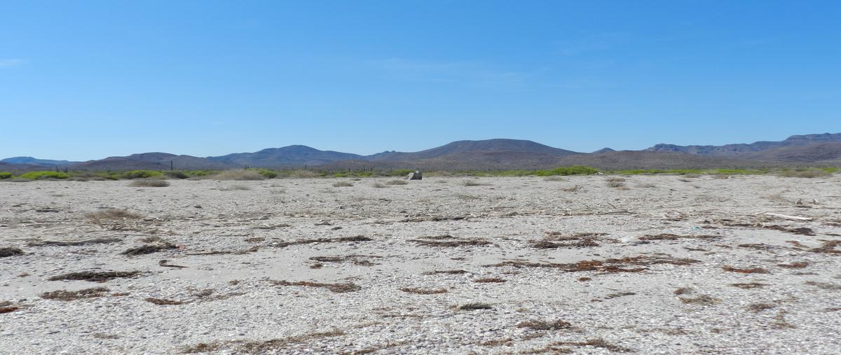 Foto de terreno habitacional en venta en loreto (loreto) whi277083, loreto (loreto), loreto, baja california sur, 24730940 No. 05
