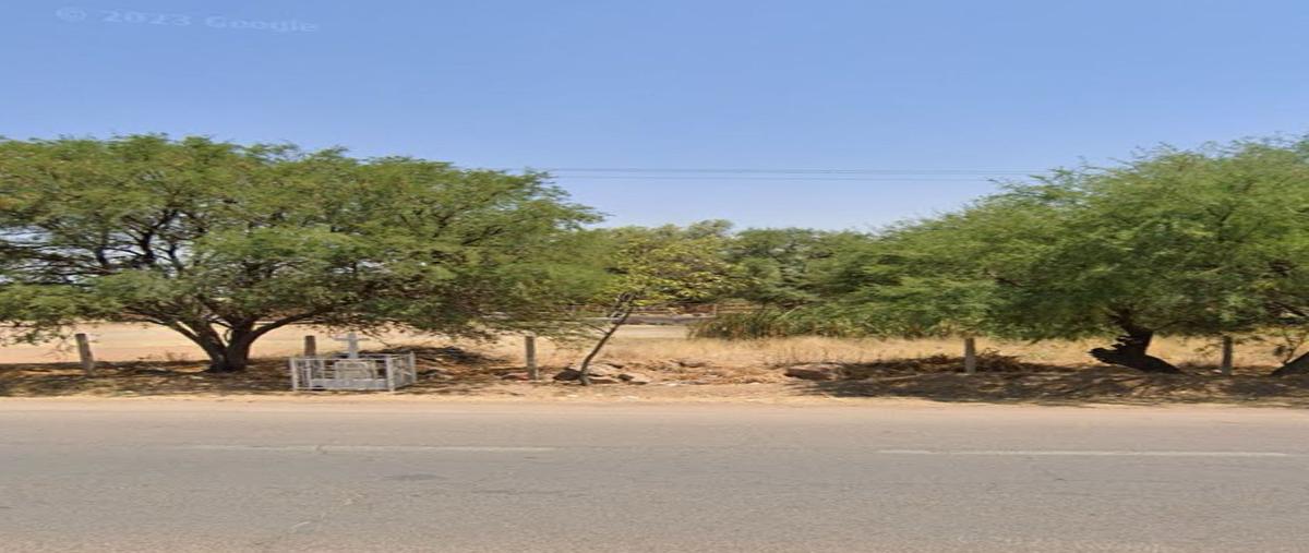 Foto de rancho en venta en loreto , rincón de romos centro, rincón de romos, aguascalientes, 0 No. 04