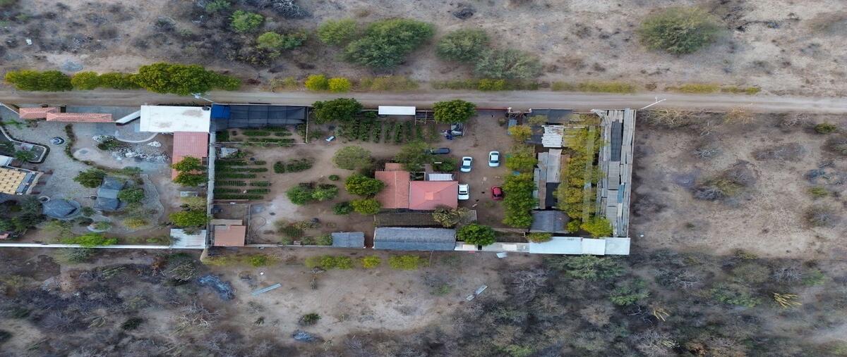 Foto de rancho en los 3 aguacates , san pedro, la paz, baja california sur, 0 foto 02 Foto de rancho en venta en los 3 aguacates , san pedro, la paz, baja california sur, 0 No. 02
