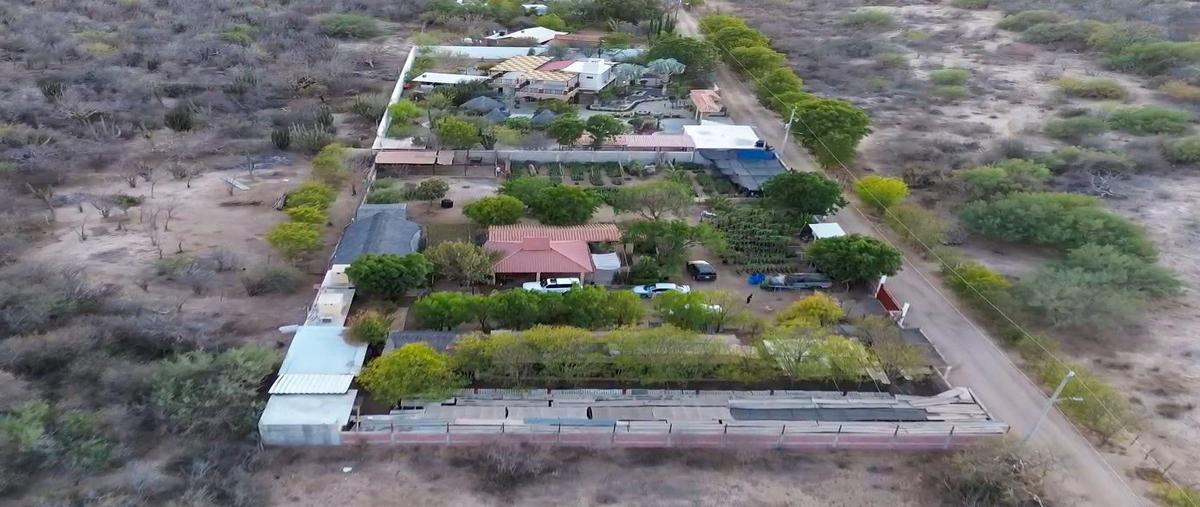 Foto de rancho en los 3 aguacates , san pedro, la paz, baja california sur, 0 foto 03 Foto de rancho en venta en los 3 aguacates , san pedro, la paz, baja california sur, 0 No. 03