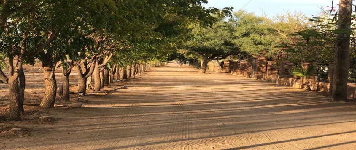 Foto de rancho en los 3 aguacates , san pedro, la paz, baja california sur, 0 foto 04 Foto de rancho en venta en los 3 aguacates , san pedro, la paz, baja california sur, 0 No. 04