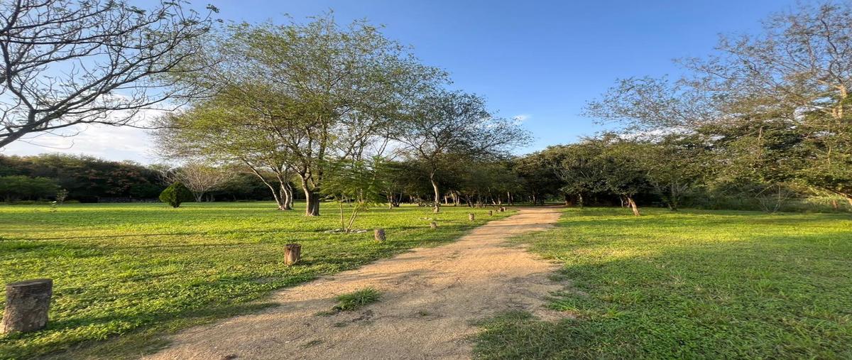 Foto de rancho en venta en los adobes , sección buenavista, allende, nuevo león, 30017561 No. 04