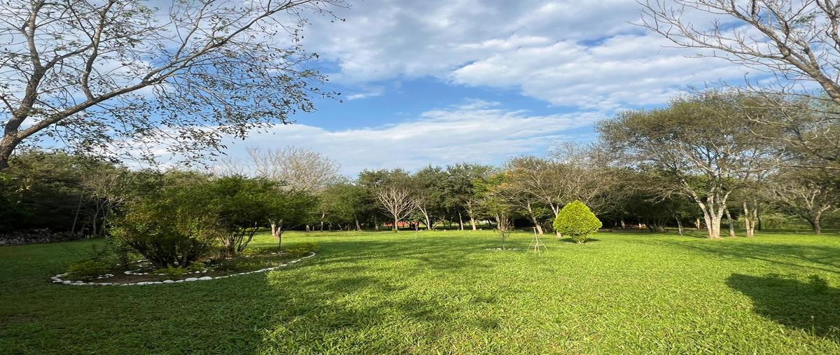 Foto de rancho en venta en los adobes , sección buenavista, allende, nuevo león, 30017561 No. 05