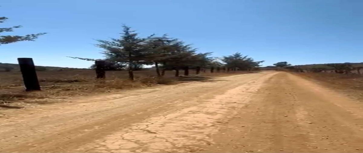 Foto de terreno habitacional en venta en los adobes , tapalpa, tapalpa, jalisco, 0 No. 03