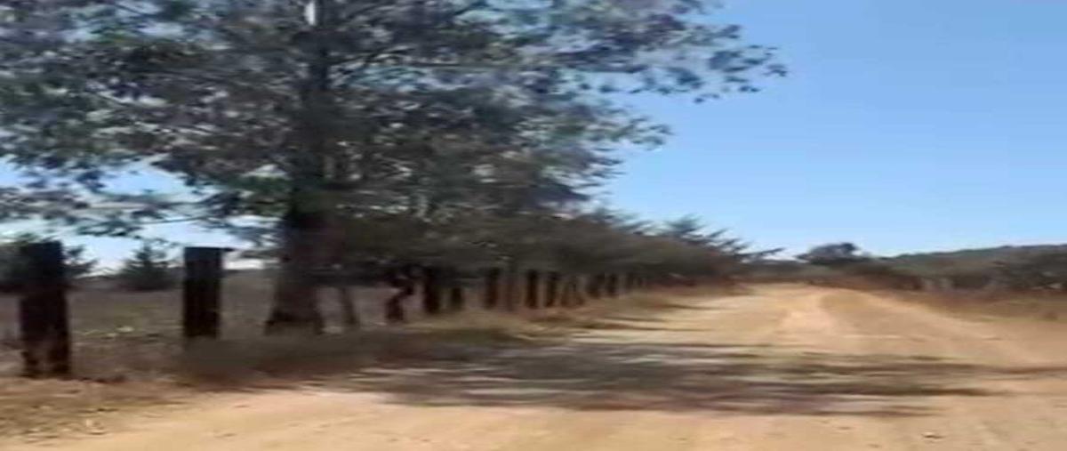 Foto de terreno habitacional en venta en los adobes , tapalpa, tapalpa, jalisco, 0 No. 04