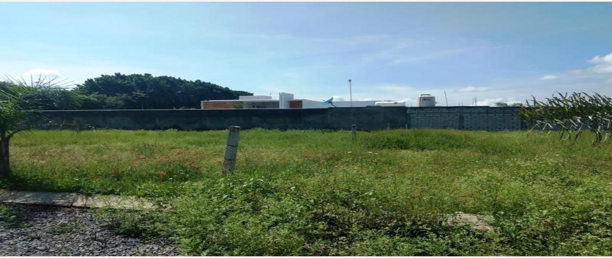 Foto de terreno habitacional en venta en los agaves 12, san carlos, yautepec, morelos, 10599370 No. 01
