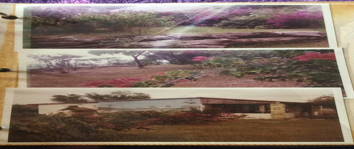 Foto de terreno comercial en venta en los agaves , nueva villa de padilla, padilla, tamaulipas, 6089272 No. 03