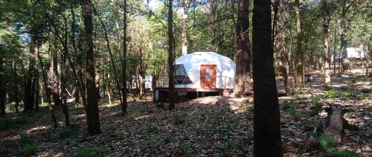 Foto de terreno habitacional en venta en los alamos , san antonio, valle de bravo, méxico, 28652097 No. 04