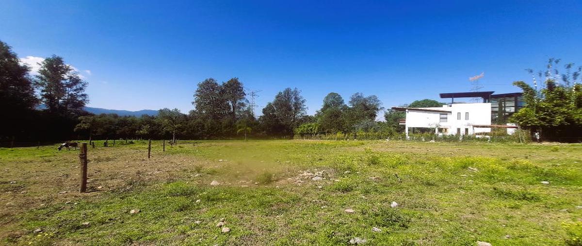 Foto de terreno habitacional en los álamos , valle de bravo, valle de bravo, méxico, 0 foto 02 Foto de terreno habitacional en venta en los álamos , valle de bravo, valle de bravo, méxico, 0 No. 02
