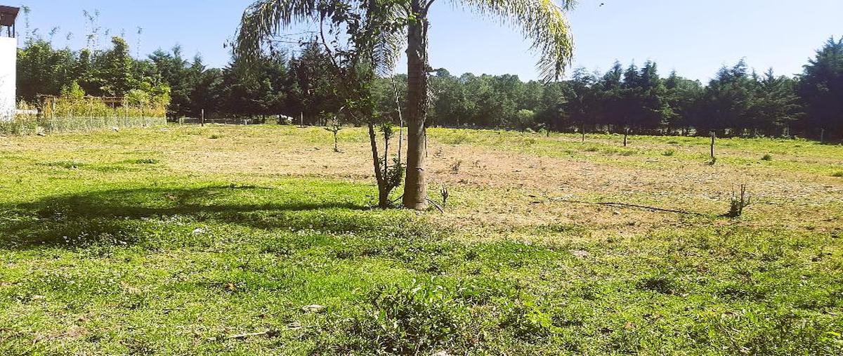 Foto de terreno habitacional en los álamos , valle de bravo, valle de bravo, méxico, 0 foto 04 Foto de terreno habitacional en venta en los álamos , valle de bravo, valle de bravo, méxico, 0 No. 04