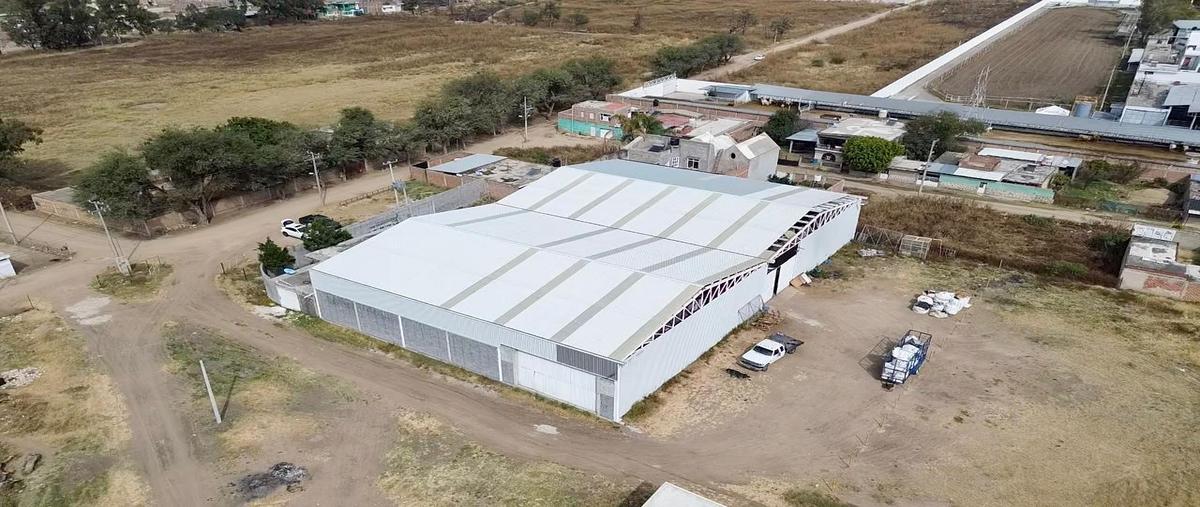 Foto de local en renta en  , los ángeles, león, guanajuato, 0 No. 04