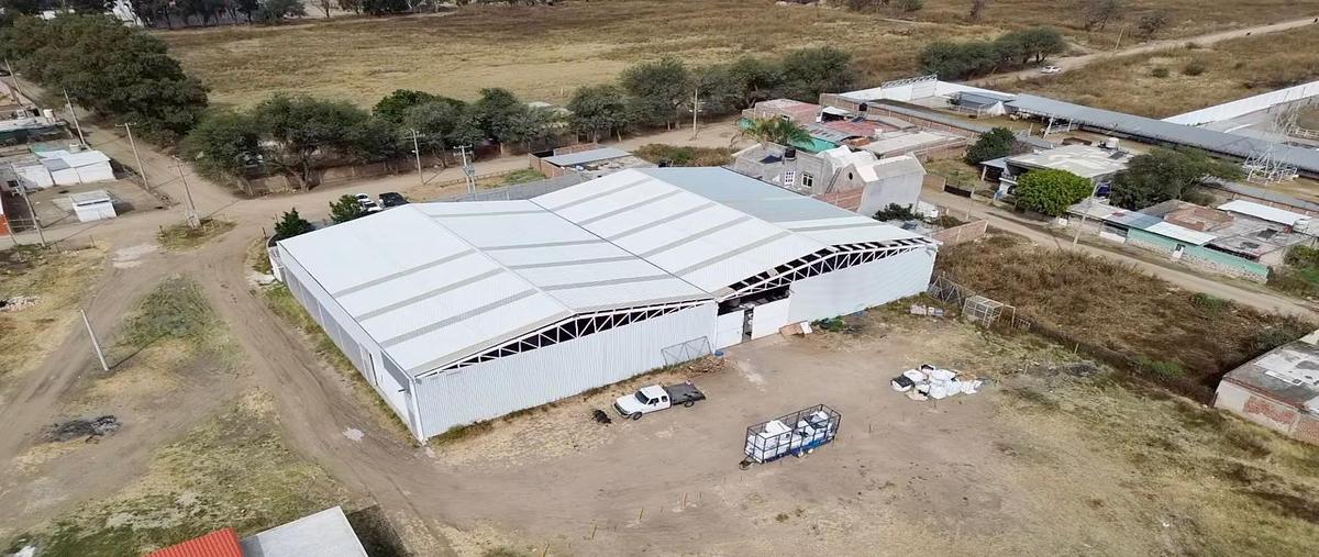 Foto de local en renta en  , los ángeles, león, guanajuato, 0 No. 05