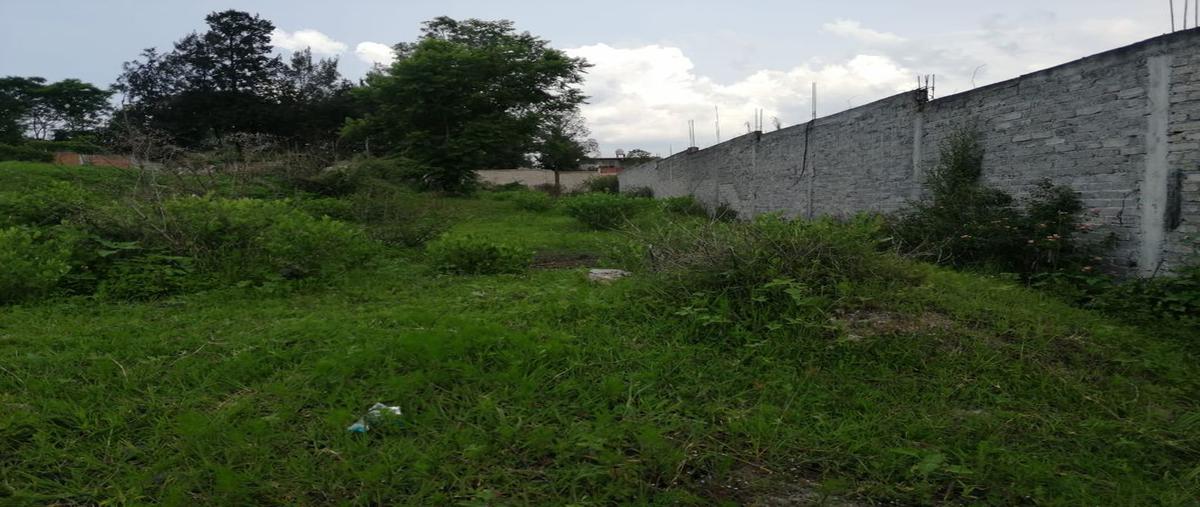 Foto de terreno habitacional en los angeles , los angeles, morelia, michoacán de ocampo, 21524762 foto 05 Foto de terreno habitacional en venta en los angeles , los angeles, morelia, michoacán de ocampo, 21524762 No. 05
