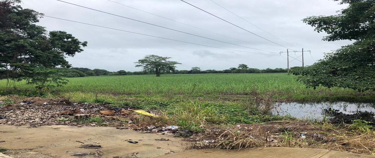 Foto de terreno habitacional en venta en  , los ángeles, san juan bautista tuxtepec, oaxaca, 20936988 No. 04