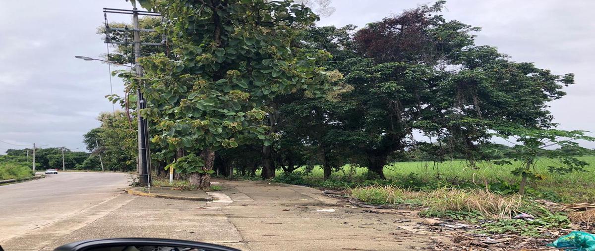 Foto de terreno habitacional en venta en  , los ángeles, san juan bautista tuxtepec, oaxaca, 20936988 No. 05