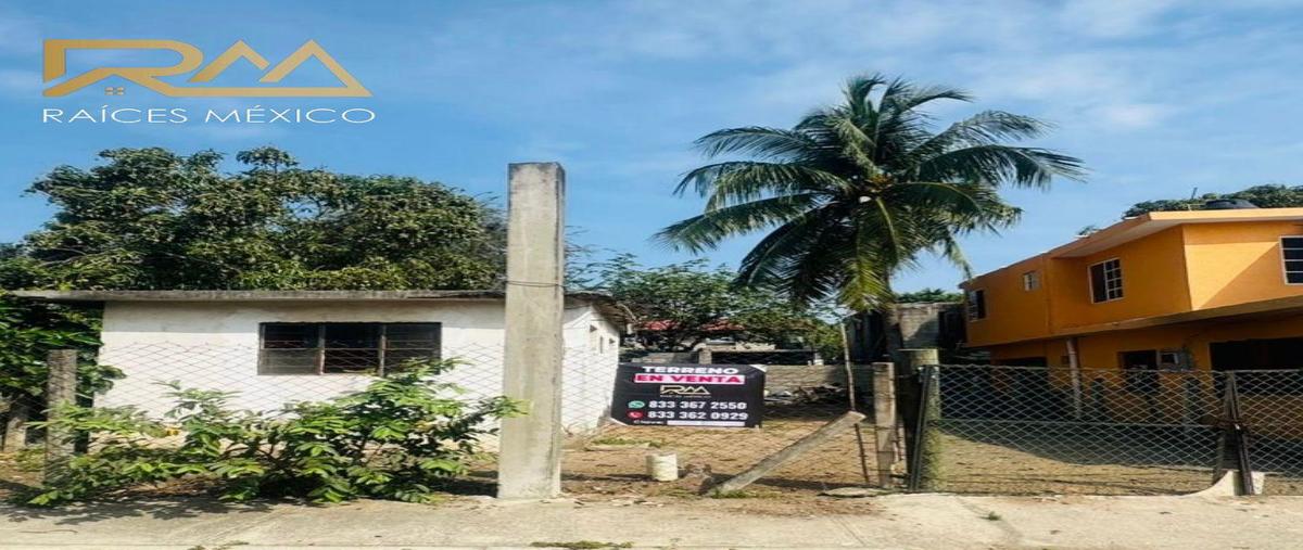 Foto de terreno habitacional en venta en  , los arados, altamira, tamaulipas, 31044082 No. 04