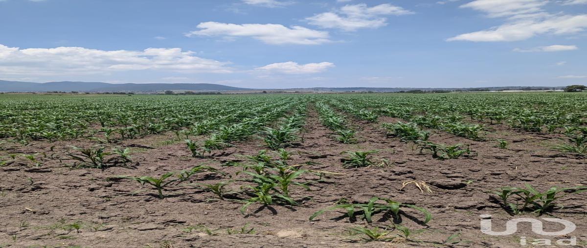 Foto de terreno habitacional en los arboles , los árboles, amealco de bonfil, querétaro, 0 foto 03 Foto de terreno habitacional en venta en los arboles , los árboles, amealco de bonfil, querétaro, 0 No. 03