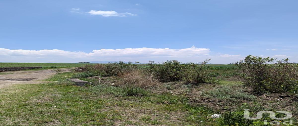 Foto de terreno habitacional en los arboles , los árboles, amealco de bonfil, querétaro, 0 foto 05 Foto de terreno habitacional en venta en los arboles , los árboles, amealco de bonfil, querétaro, 0 No. 05