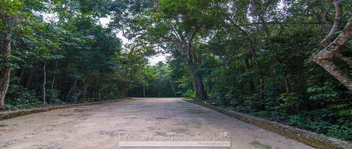 Foto de terreno habitacional en los arboles , macario gómez, tulum, quintana roo, 0 foto 05 Foto de terreno habitacional en venta en los arboles , macario gómez, tulum, quintana roo, 0 No. 05