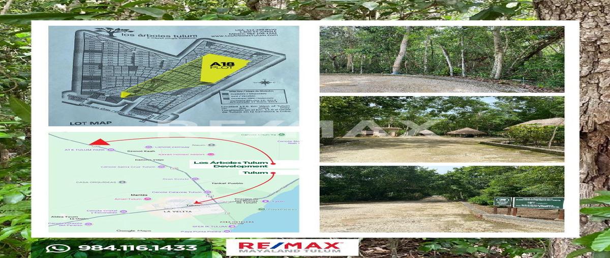 Foto de terreno habitacional en venta en los árboles tulum , tulum centro, tulum, quintana roo, 0 No. 03