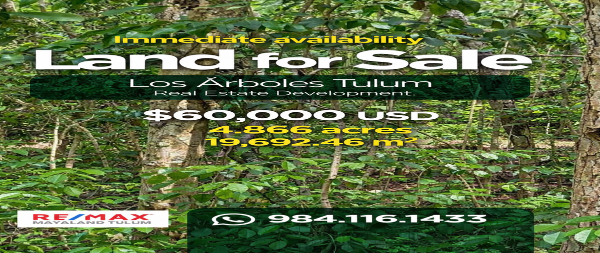Foto de terreno habitacional en venta en los árboles tulum , tulum centro, tulum, quintana roo, 30899723 No. 03