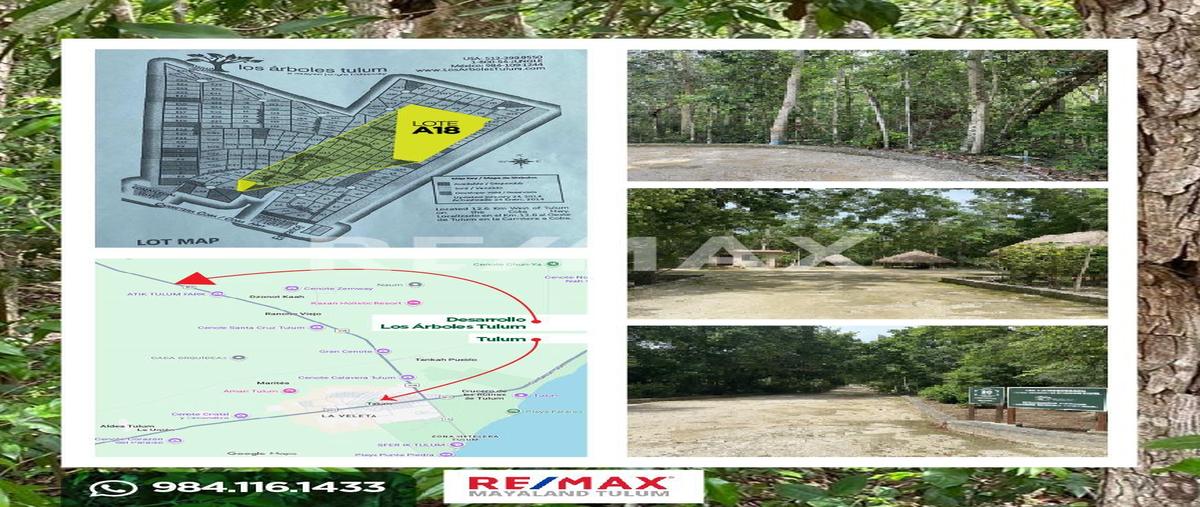Foto de terreno habitacional en venta en los árboles tulum , tulum centro, tulum, quintana roo, 0 No. 05