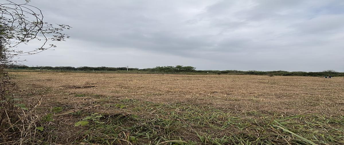 Foto de terreno habitacional en venta en  , los arcángeles, montemorelos, nuevo león, 0 No. 03