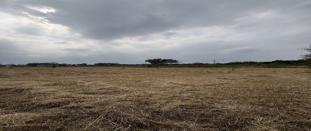 Foto de terreno habitacional en venta en  , los arcángeles, montemorelos, nuevo león, 0 No. 04