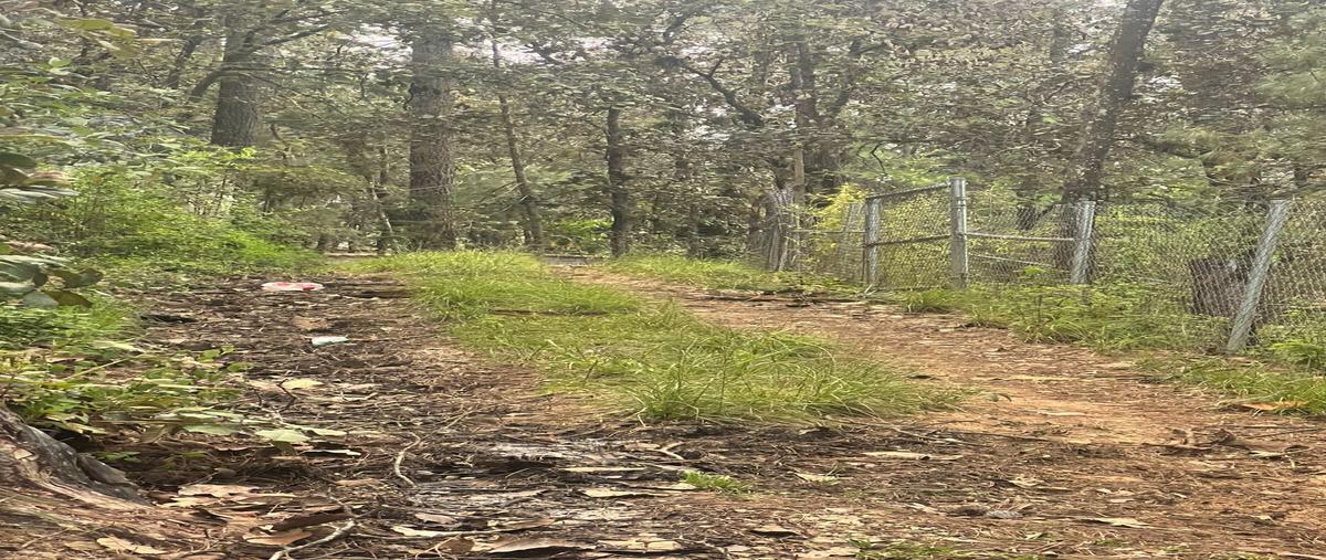 Foto de terreno habitacional en venta en los arces , los alcanfores, san cristóbal de las casas, chiapas, 0 No. 05