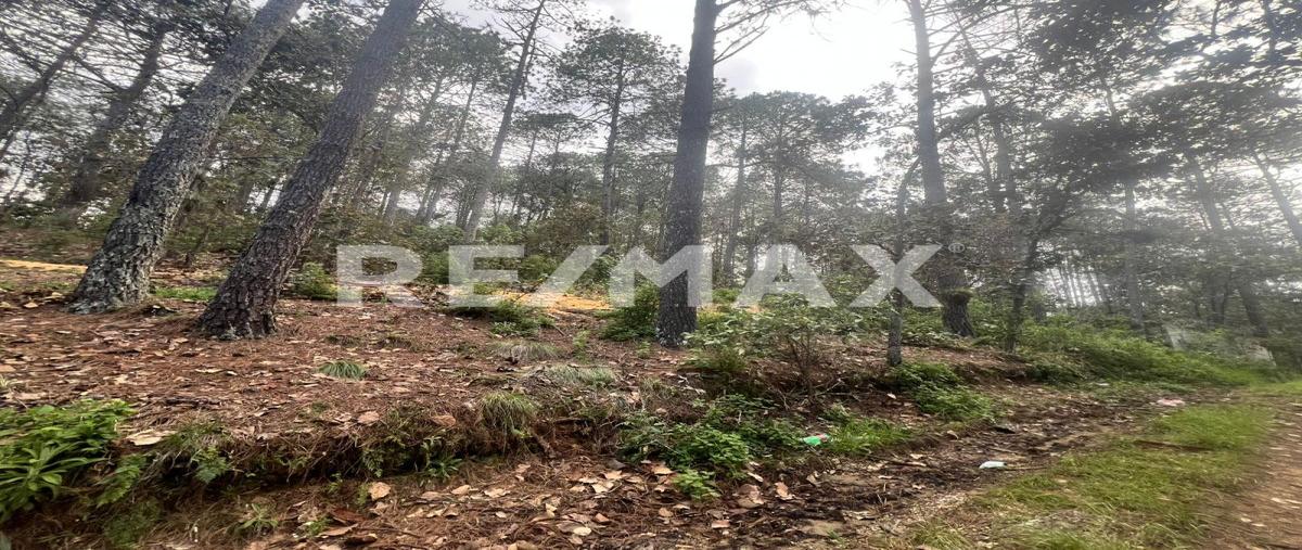 Foto de terreno habitacional en venta en los arces , los alcanfores, san cristóbal de las casas, chiapas, 30205595 No. 02