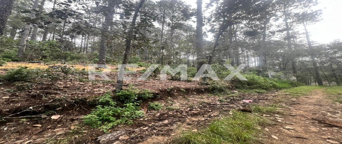 Foto de terreno habitacional en venta en los arces , los alcanfores, san cristóbal de las casas, chiapas, 30205595 No. 05