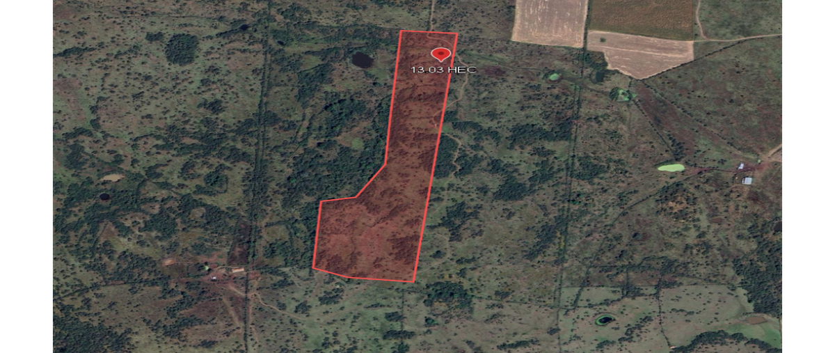 Foto de terreno habitacional en venta en  , los arcos, jiquilpan, michoacán de ocampo, 0 No. 04