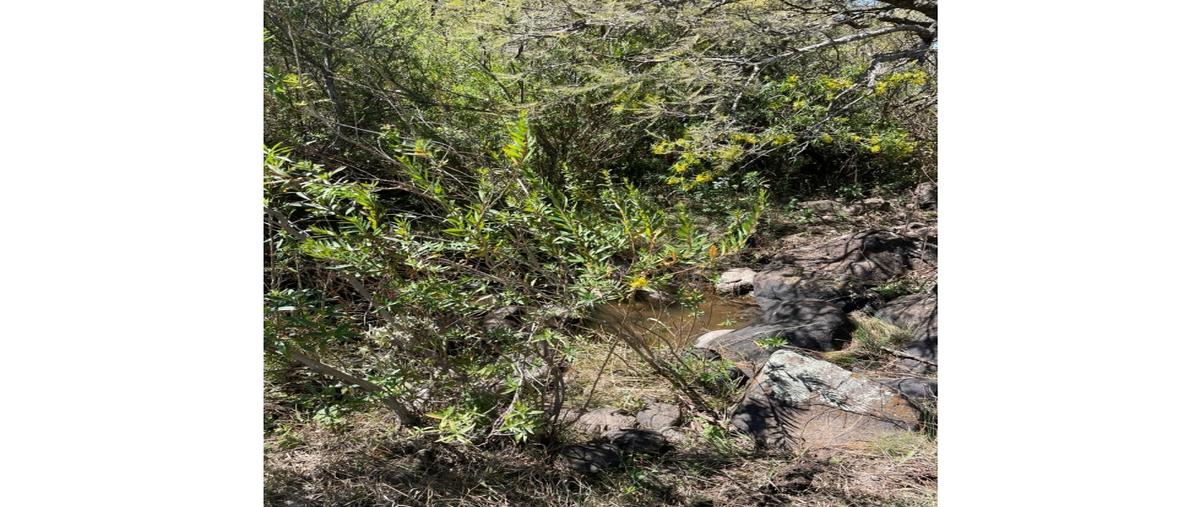 Foto de terreno habitacional en venta en  , los arcos, jiquilpan, michoacán de ocampo, 0 No. 05