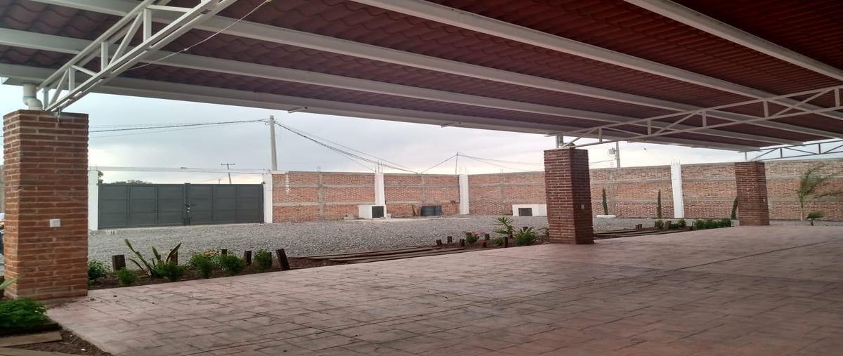 Foto de local en venta en  , los arcos, león, guanajuato, 13647866 No. 05