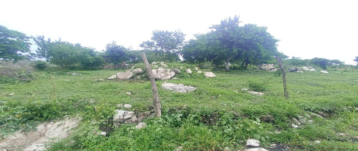 Foto de terreno habitacional en venta en  , los arcos, yautepec, morelos, 0 No. 03