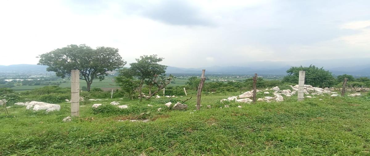 Foto de terreno habitacional en venta en  , los arcos, yautepec, morelos, 0 No. 04