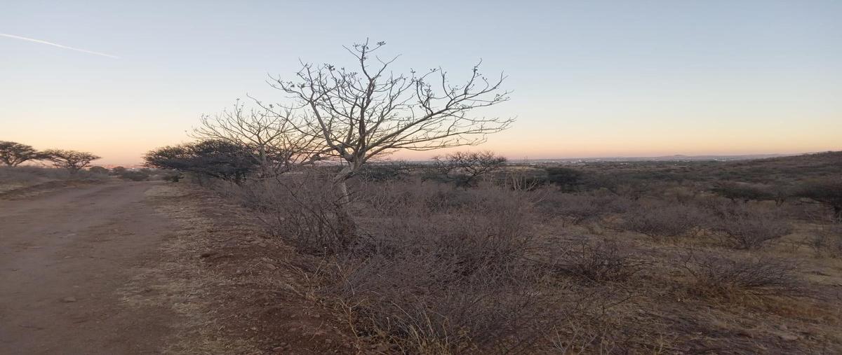 Foto de terreno habitacional en venta en  , los arquitos, jesús maría, aguascalientes, 0 No. 03