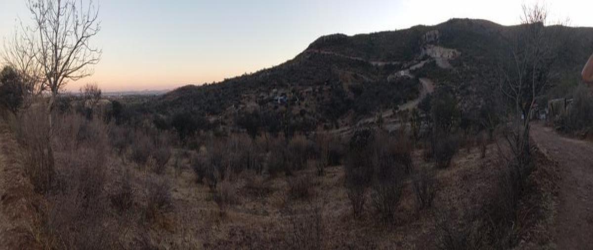 Foto de terreno habitacional en venta en  , los arquitos, jesús maría, aguascalientes, 0 No. 04